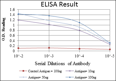 ABCG2 Monoclonal Antibody