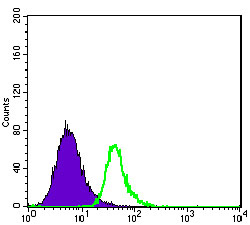 ABCG2 Monoclonal Antibody