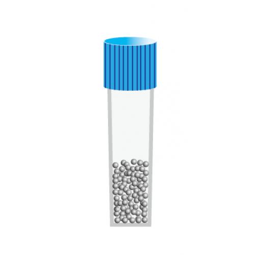 DH5α 感受态细胞 DH5α Chemically Competent Cell