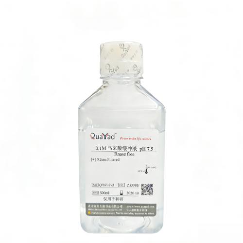 0.1M 马来酸缓冲液（Rnase free， 0.15M NaCl， pH 7.5）	0.1M Maleic acid solution（Rnase free）