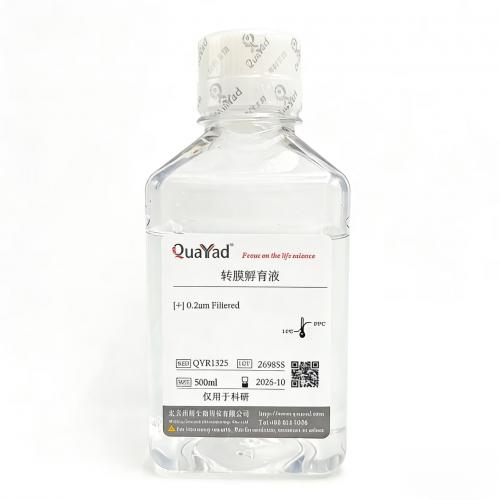 转膜孵育液	Western Transfer Buffer