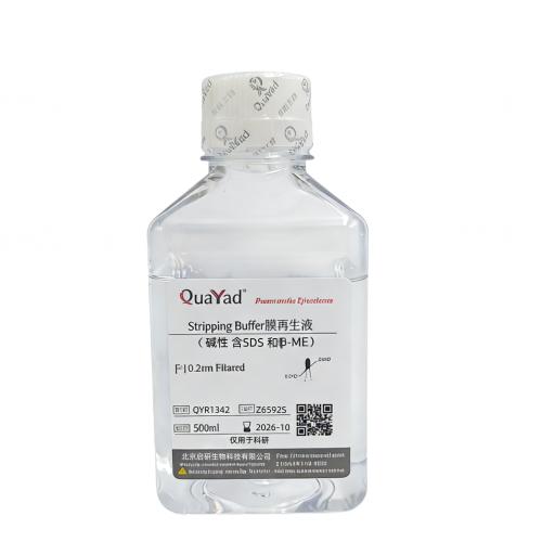 膜再生液（碱性，含SDS和&beta;-ME），一抗二抗剥离液，Stripping Buffer