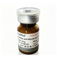 Donkey anti-Mouse IgG（Pure  IgG）