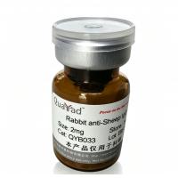 Rabbit  anti-Sheep IgG（Pure  IgG）